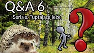 Q&A odcinek 6 Seriale, Tuptające jeże.