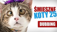 ŚMIESZNE KOTY #25  DUBBING: MATT OLECH