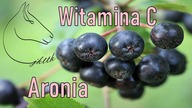Witamina C u koni i Aronia