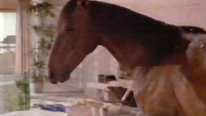 Polsat - Wybitne przejście na reklamy i zapowiedź (30. 07. 1999)