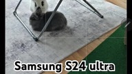 Samsung S24 ultra AI #bunnies #ai #samsungs24ultra #edit #rabbit