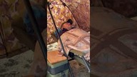 Szeptam Jurkowi na rybach czułe słowa maju maj