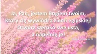 Audycja Wyzwolony Paul Smith