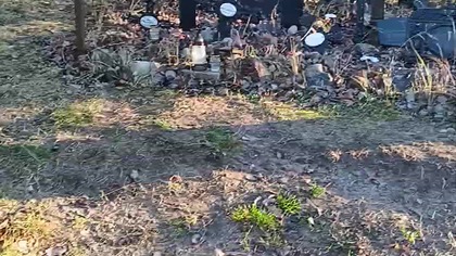 Stary cmentarz ewangelicki w Smołdzińskim Lesie 