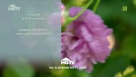 HGTV - 05-07-2020 - Reklama, Ogłoszenie nadawcy + FIGHTBOX - Spot, Autopromocja, Identy