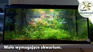 100l po 2 latach