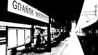 Bokser - UNZN