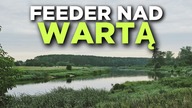 597 FEEDER NAD WARTĄ - KLASYCZNY FEEDER W WARKOCZU
