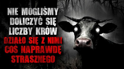 Nie mogliśmy doliczyć się liczby krów.  Działo się z nimi coś naprawdę strasznego | CreepyPasta