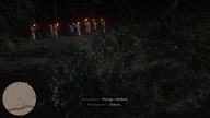 Red Dead Redemption 2_..3K....