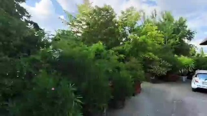 ZOO Dvůr Králové  4K #360degree #safari #afrykańskieSafari #safaripark