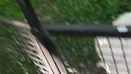 Daję się zjeść pelikanowi 100% legit no scam 