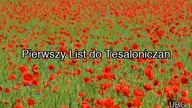 1 list do Tesaloniczan (UBG)