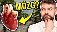 Ile Polacy wiedzą o biologii?