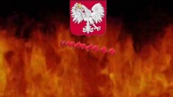 błękitna ostryga
