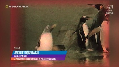 Andrzej Dąbrowski Szał By Night (Kino Polska Muzyka)
