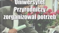 Grunt to mieć pole  do popisu oczywiście