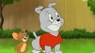 Tom i Jerry 95 (Lektor PL)
