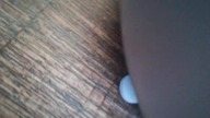 Ostra Zupka Pomidorowa Nie jest Taka Ostra #shorts