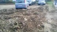 Rolnik kontra kierowcy