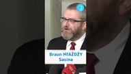 Braun MIAŻDŻY Sasina #shorts