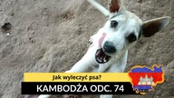 Kambodża - Jak wyleczyć psa? (odc.  74)