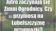 Jutro zaczynają się Zimni Ogrodnicy.  Czy przyniosą na Lubelszczyznę przymrozki?