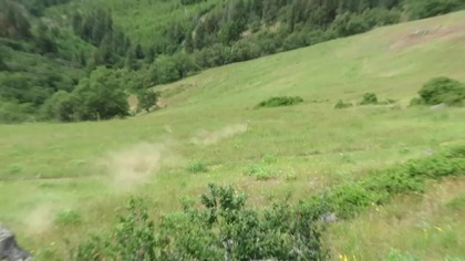 200-Pound Boulder Takes Out Oak Tree!