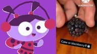 Ladybird Lu is reacting the Cake video compilation 3