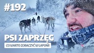 #192 Przez Świat na Fazie - Co warto zobaczyć w Laponii | LAPONIA, Finlandia