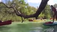 Laski na desce surfingowej spróbuj się nie zaśmiać 2018 vol 1