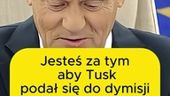 Jak najszybciej #zostawsuba
