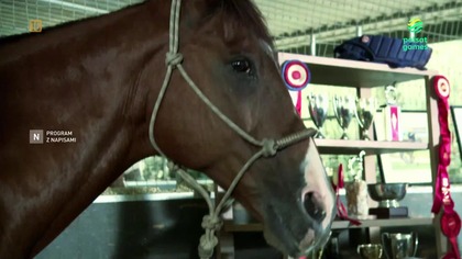 smierc na 1000 sposobow s4e1