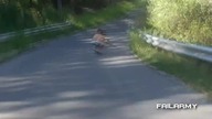 Świeża kompilacja porażek z kwietnia