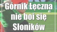 Górnik Łęczna nie boi się Słoników