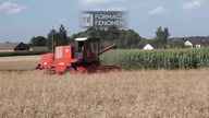 Formacja Fenomen- Żniwa 2021 (Galibri & Mavik - Federico Fellini Parodia) z kanału MASA SQUAD