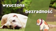 Wyuczona bezradność
