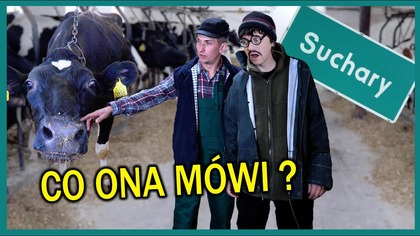 ROZUMIEM CO MÓWIĄ ZWIERZĘTA - Suchary #276