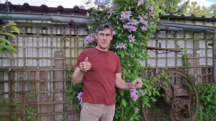 W Garden kuRaż * Kurczaki na wybiegu i ogromna sałata * 20.  05.  2025