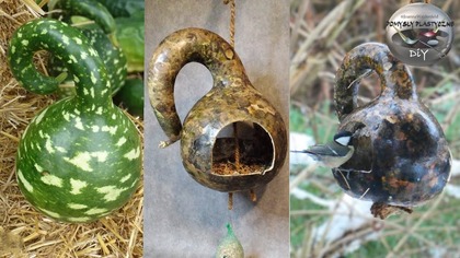 Jak zrobić karmnik dla ptaków z tykwy - Pomysły Plastyczne DiY