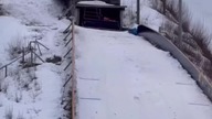 Piękny LOT Vilho Palosaariego#shorts #skijumpingfamily