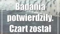 Badania potwierdziły.  Czart został otruty