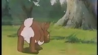 Setons Welt der Tiere Folge 4 (Molly und Jaggy)