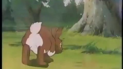 Setons Welt der Tiere Folge 4 (Molly und Jaggy)