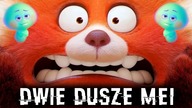 MEI z TO NIE WYPANDA ma DWIE DUSZE?!  [Teoria Pixara]