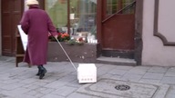 Chełmińskie zwierzątko