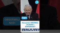 Kaczyński OBERWAŁ JAJKAMI I KAMIENIEM?! #shorts