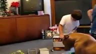 Dziecko dostało Xbox360 (reakcja)