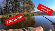 Szczupaki // spinning na pontonie // listopad 2020