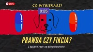Poznaj trzy zgubne rady dawane przez behawiorystów